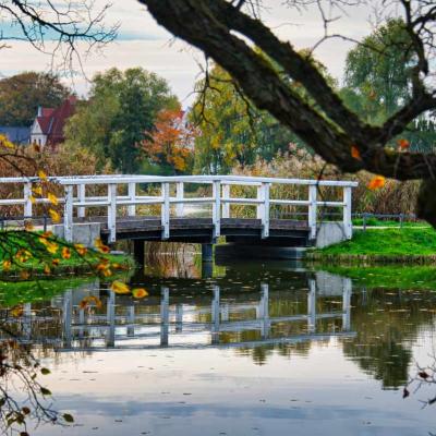Eine weiße Holzbrücke über einen See. Äste hängen im Vordergund in das Bild