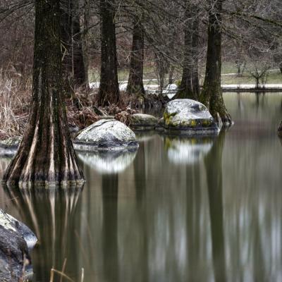 Der Mollsee (Langzeitbelichtung) im Westpark in München